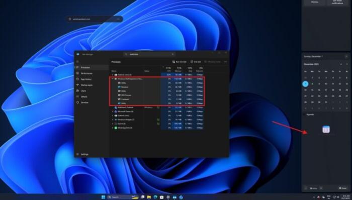 Windows 11 WebView 2